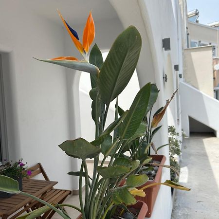 To Spitaki Sas, In Santorini! Apartamento Mesaria Exterior foto